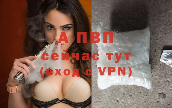дурь Алексин