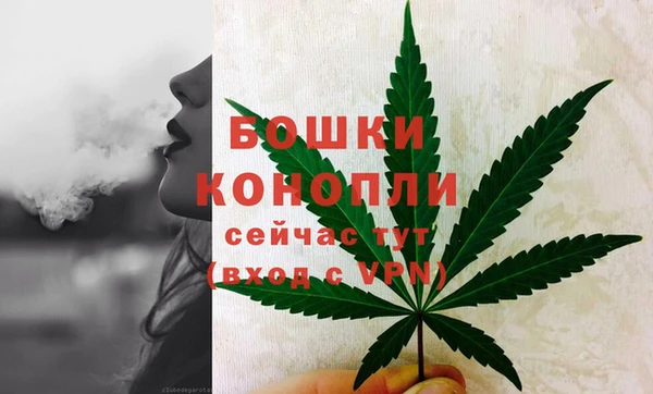 мяу мяу мука Абаза