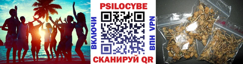 где можно купить   Мирный  Псилоцибиновые грибы ЛСД 